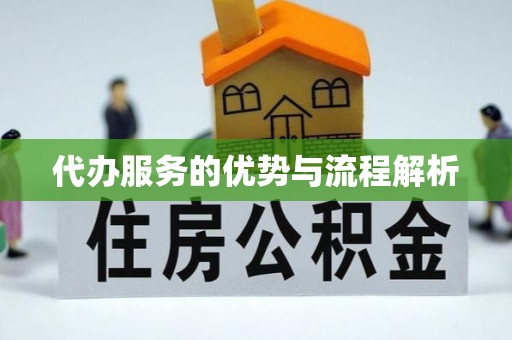 南城代办服务的优势与流程解析