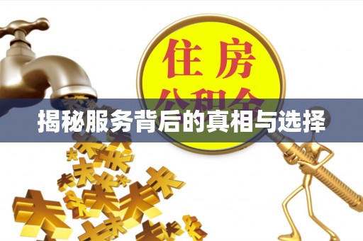 南城揭秘服务背后的真相与选择