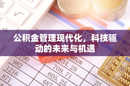 南城公积金管理现代化，科技驱动的未来与机遇