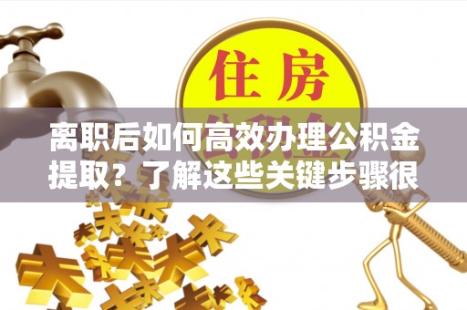 南城离职后如何高效办理公积金提取？了解这些关键步骤很重要！