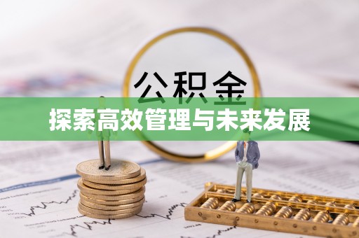 南城探索高效管理与未来发展
