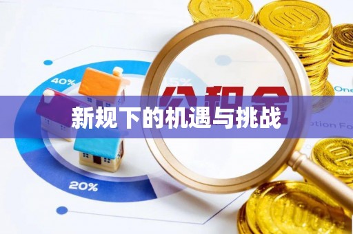 南城新规下的机遇与挑战