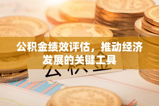 南城公积金绩效评估，推动经济发展的关键工具