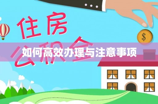 南城如何高效办理与注意事项