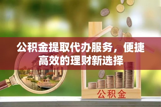南城公积金提取代办服务，便捷高效的理财新选择