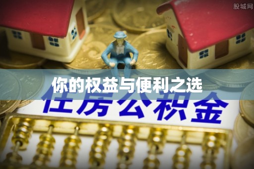 南城你的权益与便利之选