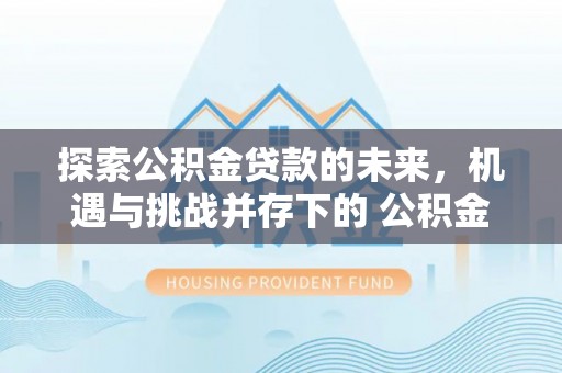 南城探索公积金贷款的未来，机遇与挑战并存下的 公积金贷款风险防控