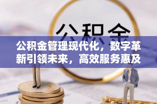 南城公积金管理现代化，数字革新引领未来，高效服务惠及民生