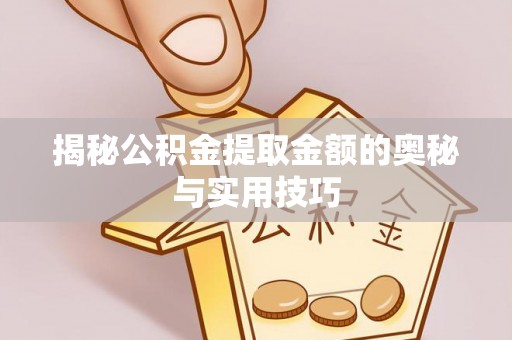 南城揭秘公积金提取金额的奥秘与实用技巧