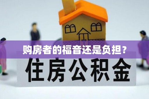 南城购房者的福音还是负担？
