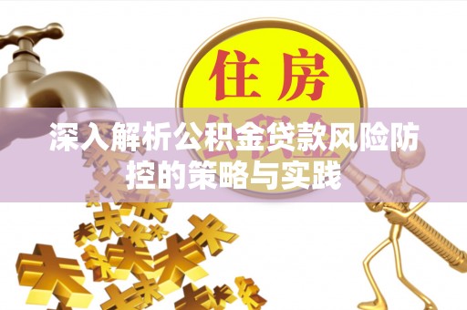 南城深入解析公积金贷款风险防控的策略与实践