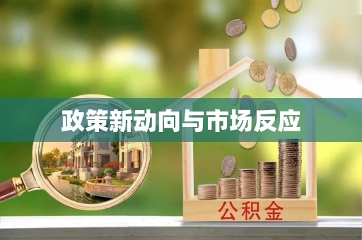 南城政策新动向与市场反应