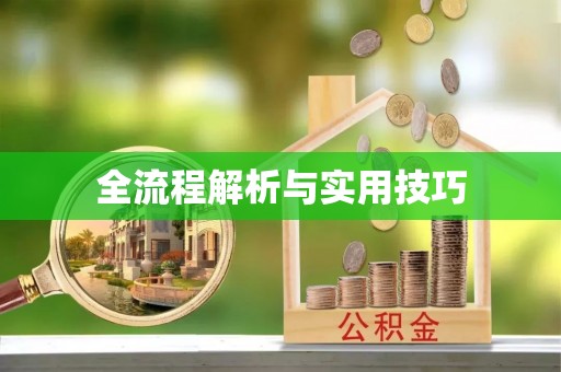 南城全流程解析与实用技巧