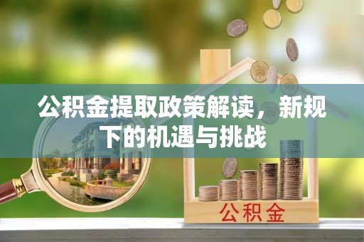 南城公积金提取政策解读，新规下的机遇与挑战