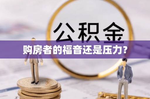 南城购房者的福音还是压力？