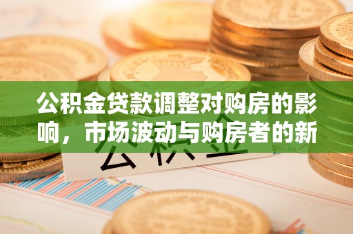 南城公积金贷款调整对购房的影响，市场波动与购房者的新选择