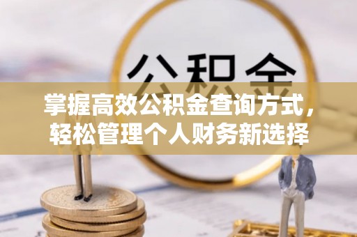 南城掌握高效公积金查询方式，轻松管理个人财务新选择