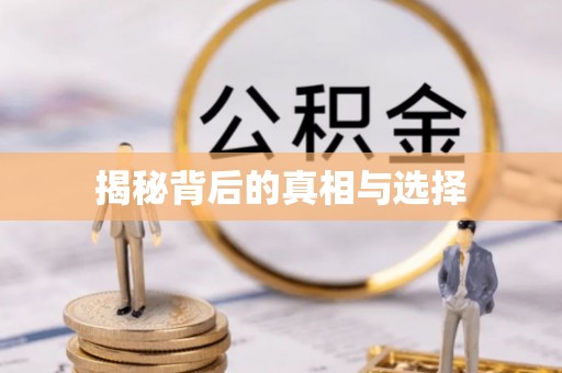 南城揭秘背后的真相与选择