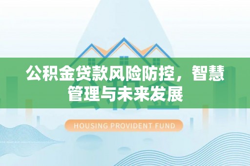 南城公积金贷款风险防控，智慧管理与未来发展