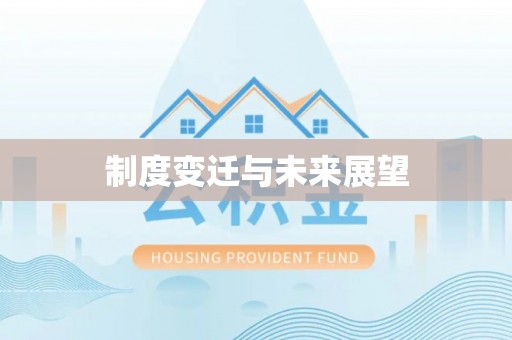 南城制度变迁与未来展望