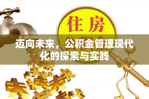 南城迈向未来，公积金管理现代化的探索与实践