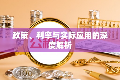 南城政策、利率与实际应用的深度解析