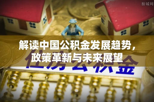 南城解读中国公积金发展趋势，政策革新与未来展望