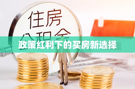 南城政策红利下的买房新选择