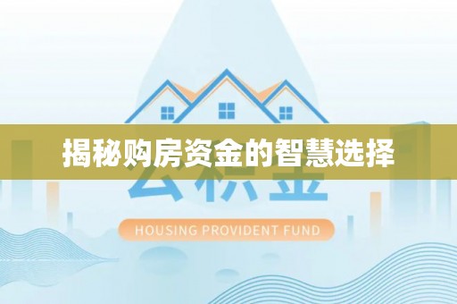 南城揭秘购房资金的智慧选择