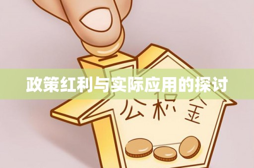南城政策红利与实际应用的探讨