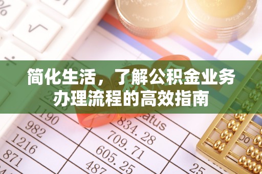 南城简化生活，了解公积金业务办理流程的高效指南
