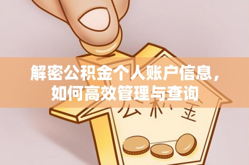南城解密公积金个人账户信息，如何高效管理与查询
