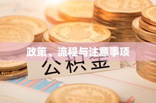 南城政策、流程与注意事项