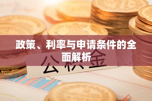南城政策、利率与申请条件的全面解析
