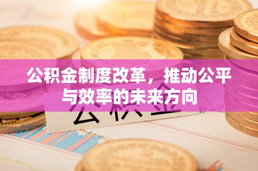 南城公积金制度改革，推动公平与效率的未来方向