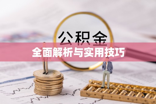 南城全面解析与实用技巧