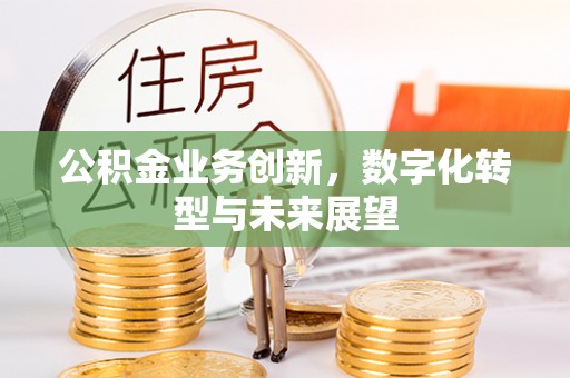 南城公积金业务创新，数字化转型与未来展望
