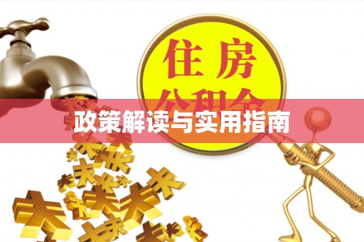 南城政策解读与实用指南