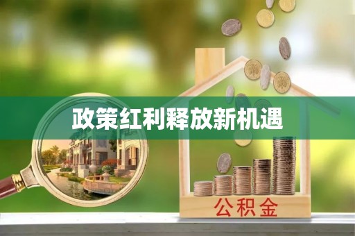 南城政策红利释放新机遇