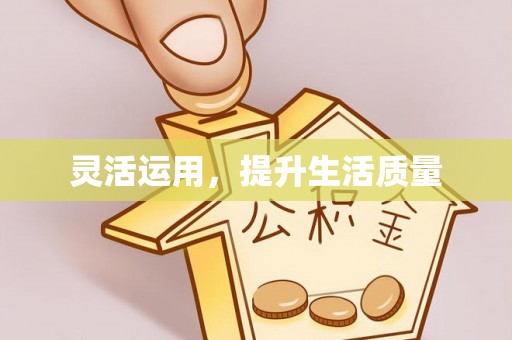 南城灵活运用，提升生活质量