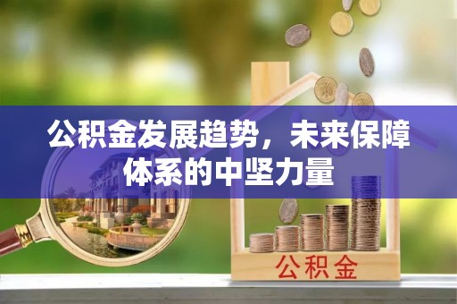南城公积金发展趋势，未来保障体系的中坚力量