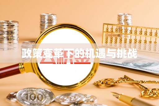 南城政策变革下的机遇与挑战