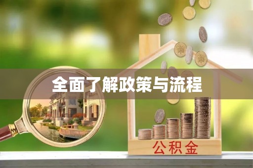南城全面了解政策与流程