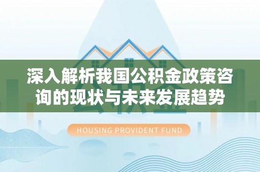 南城深入解析我国公积金政策咨询的现状与未来发展趋势
