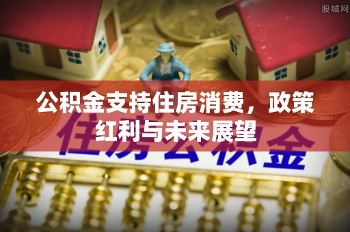 南城公积金支持住房消费，政策红利与未来展望