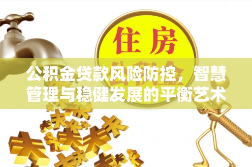 南城公积金贷款风险防控，智慧管理与稳健发展的平衡艺术