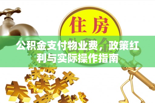 南城公积金支付物业费，政策红利与实际操作指南