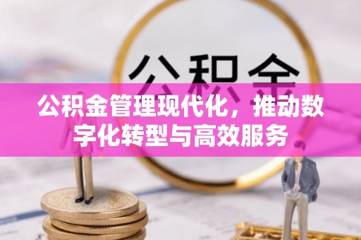 南城公积金管理现代化，推动数字化转型与高效服务