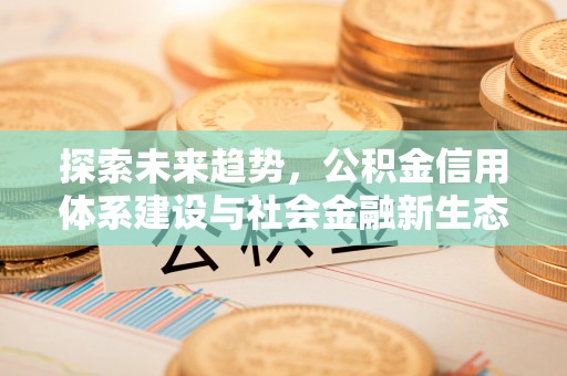 南城探索未来趋势，公积金信用体系建设与社会金融新生态