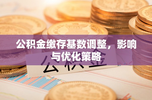 南城公积金缴存基数调整，影响与优化策略